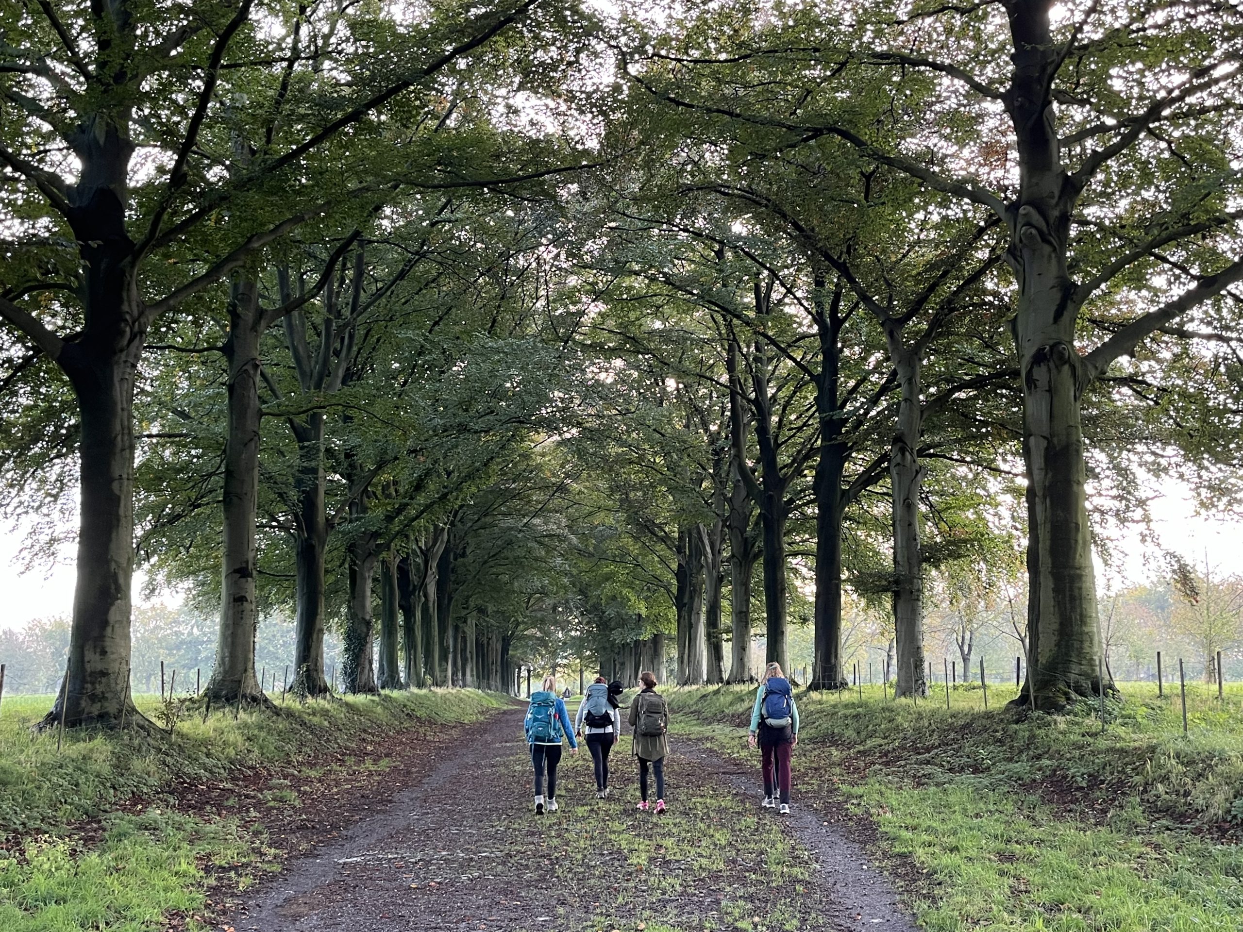 Meerdaagse wandeltochten
