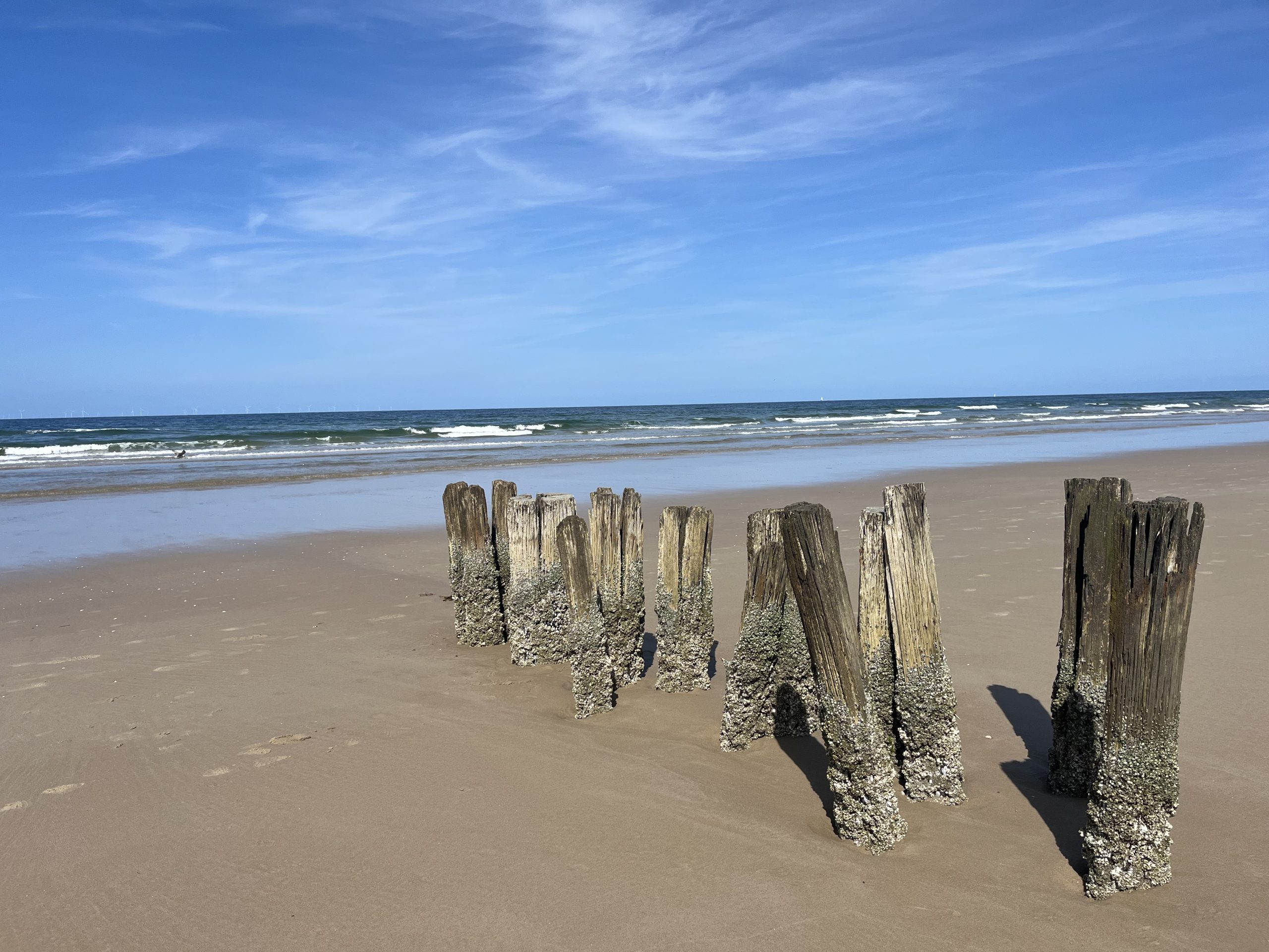 Mindfulness in de natuur